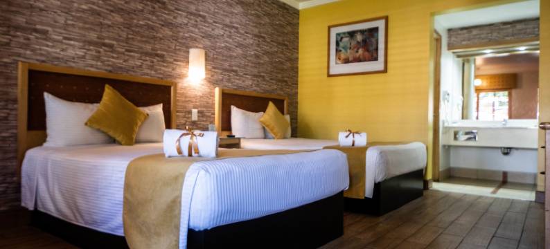 克罗尼尔墨西卡利酒店(Hotel Colonial Mexicali)图片