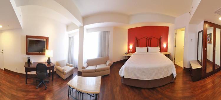 假日酒店及套房瓜达拉哈拉历史中心(Holiday Inn & Suites GUADALAJARA CENTRO HISTORICO by IHG)图片