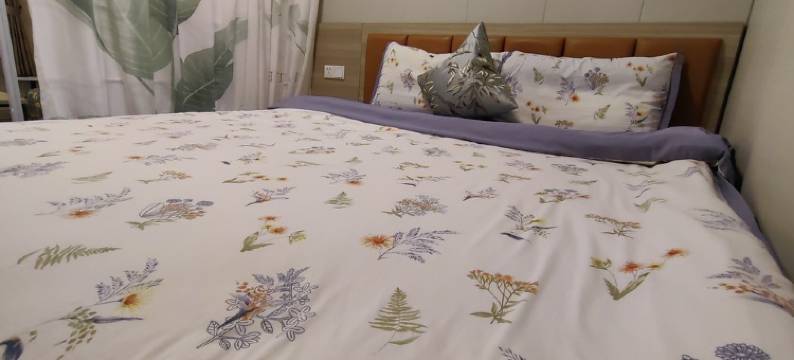 陈院长特色民宿(百花路2号分店)图片