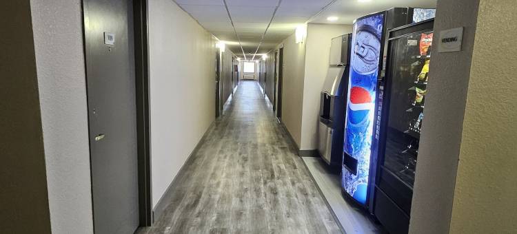 水牛城温德姆速8酒店(Super 8 by Wyndham Buffalo)图片