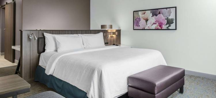 底特律尤蒂卡希尔顿花园旅馆(Hilton Garden Inn Detroit Utica)图片