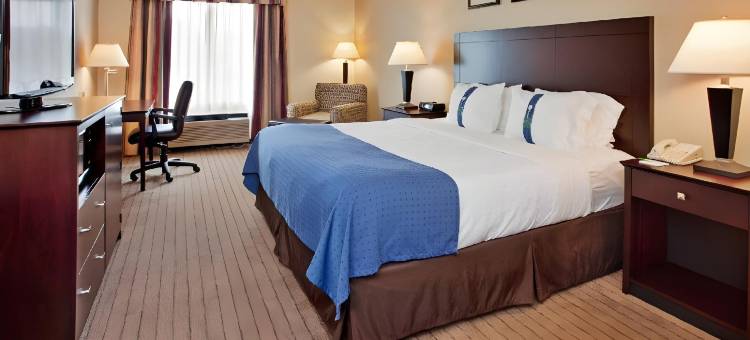 Holiday Inn & Suites 奥佛兰公园CONV点击率(Holiday Inn & Suites Overland Park-Conv Ctr)图片