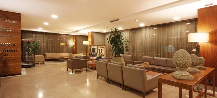 安卡拉海葵酒店(Anemon Kent Ankara Otel)图片