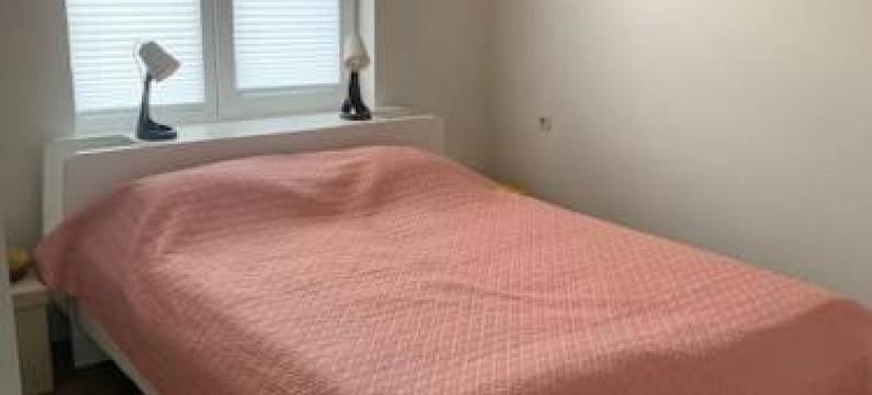 Cozy Apartment in Karmelava图片