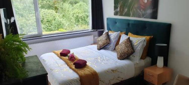 度假屋(B&B Immerloopark)图片