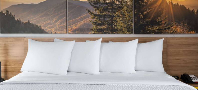 北卡罗来纳州索尔兹伯里温德姆戴斯酒店(Days Inn by Wyndham Salisbury, NC)图片