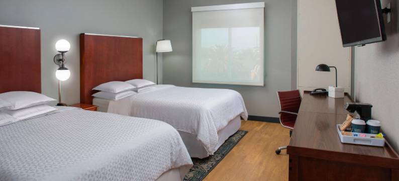 休斯顿霍比机场福朋喜来登酒店(Four Points by Sheraton Houston Hobby Airport)图片