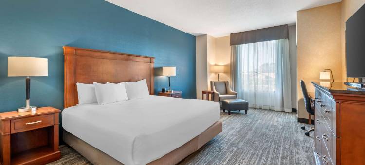 德鲁里广场酒店弗多斯塔(Drury Plaza Hotel Valdosta)图片
