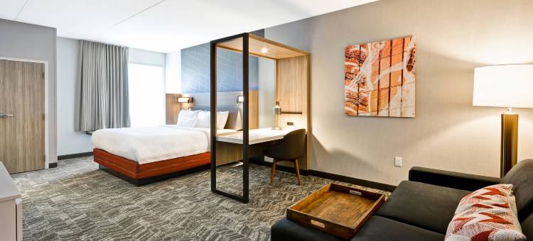 辛辛那提布鲁艾施SpringHill Suites酒店(SpringHill Suites Cincinnati Blue Ash)图片