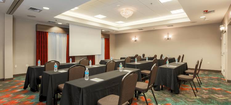 纳努特希尔顿花园酒店(Hilton Garden Inn Nanuet)图片