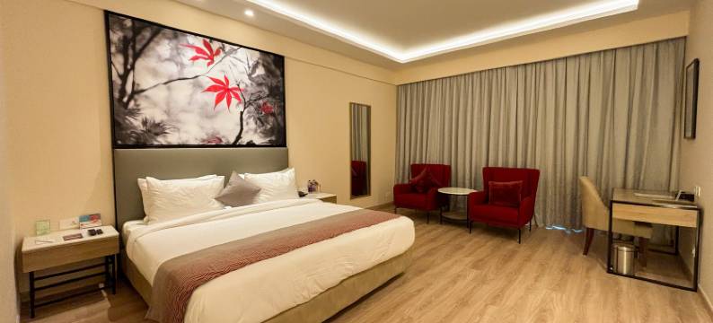 Best Western Plus Amritsar图片