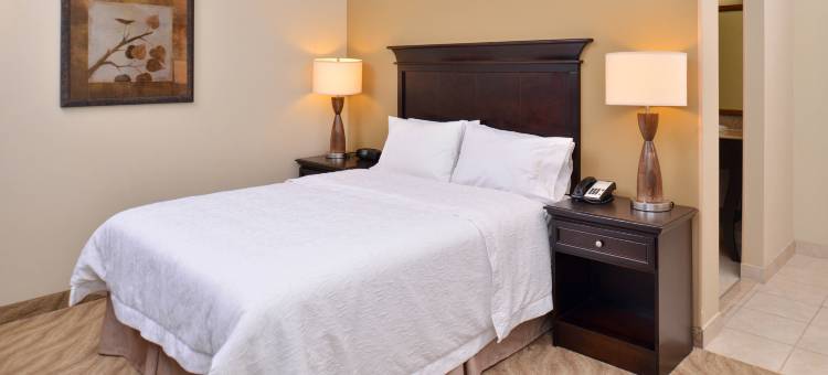 范霍恩欢朋酒店(Hampton Inn Van Horn)图片