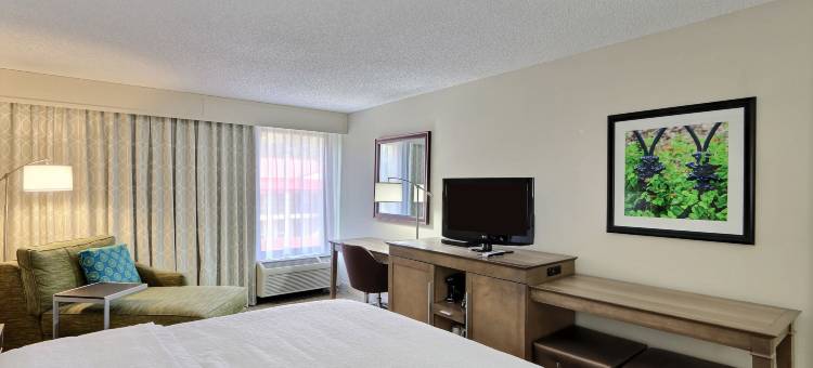 希尔顿欢朋酒店-萨凡纳列治文山(Hampton Inn Savannah-I-95/Richmond Hill)图片