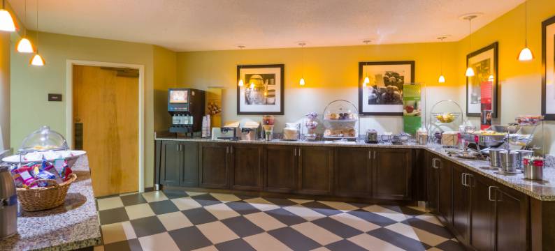 锡林斯格罗夫/沙莫金大坝希尔顿欢朋酒店(Hampton Inn Selinsgrove/Shamokin Dam)图片