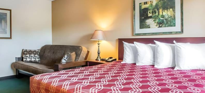 斯普林菲尔德I-44伊克诺旅馆(Econo Lodge Springfield I-44)图片