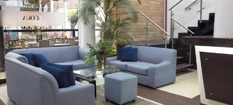 麦德林亚克瓜酒店(Hotel Acqua Medellín)图片