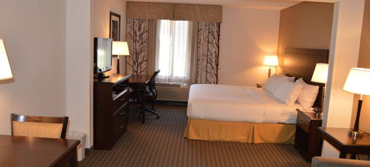 Holiday Inn Express & Suites Winner图片