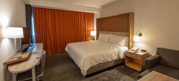 梅尼达拉伊斯拉假日套房酒店(Holiday Inn & Suites MERIDA LA ISLA by IHG)图片