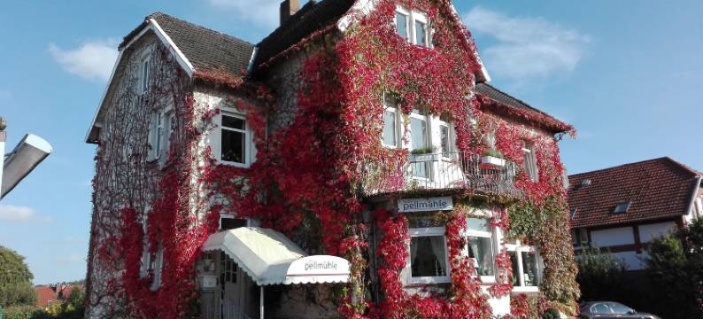 佩乐穆赫酒店(Hotel Pellmühle)图片