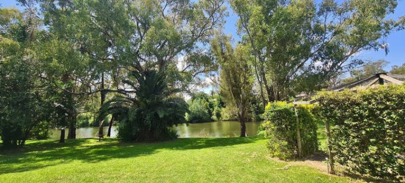 惠灵顿桥梁汽车旅馆(Bridge Motel Wellington)图片