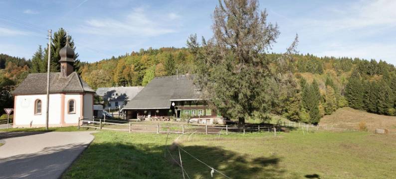 维滕施万德的度假屋(Ferienhaus in Wittenschwand)图片