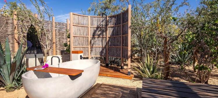 埃尔佩尔迪多沙漠之梦 - 限成人(El Perdido Desert Dream)图片