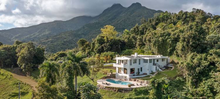 DW森林小屋(Wald Haus by DW)图片