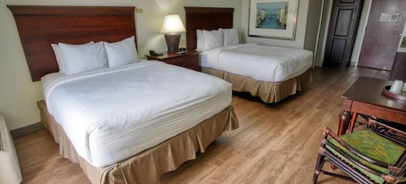 珍宝岛酒店和码头(Treasure Island Hotel and Marina)图片