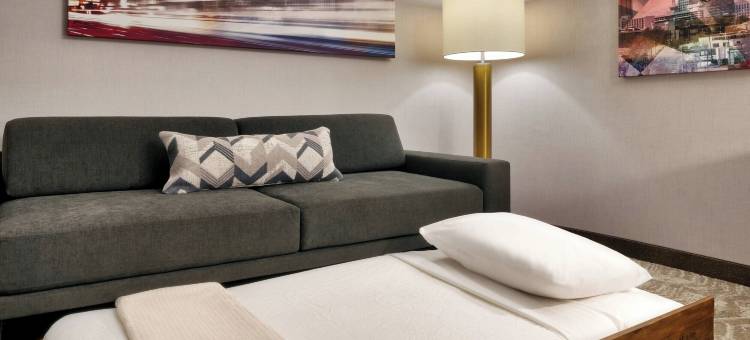 盐湖城西谷万豪SpringHill Suites酒店(SpringHill Suites Salt Lake City West Valley)图片