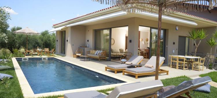 埃拉亚橄榄树丛(Elaia Grove)图片