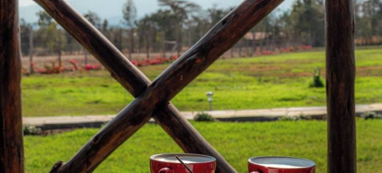 肯尼亚格兰平肯尼亚山小木屋(Glamping Kenya Mt. Kenya Lodge)图片