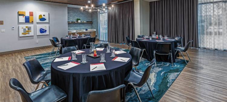北休斯顿-斯普林英迪格酒店(Hotel Indigo Spring – Woodlands Area)图片
