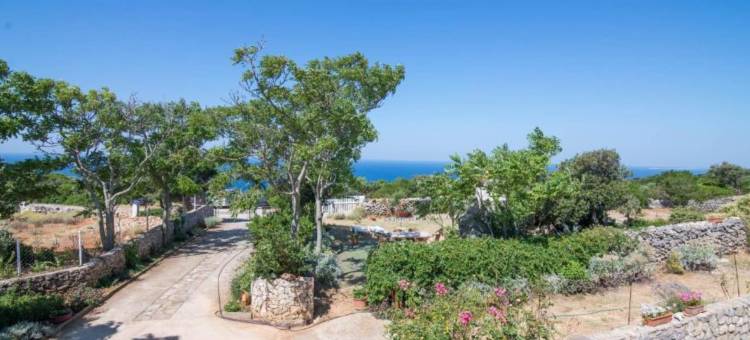 Bonic公寓(Apartments Bonic)图片