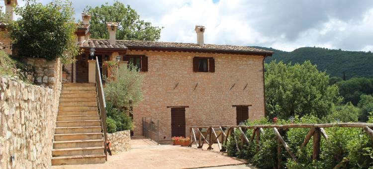 帕帕宫农场乡村民宿(Palazzo Del Papa Agriturismo)图片
