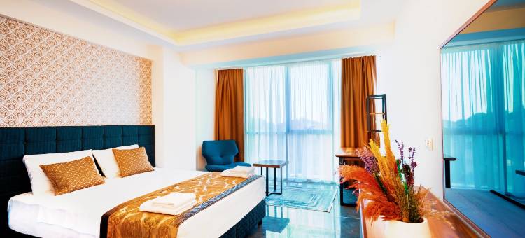 萨卡里亚大陆奢华套房(Continent Luxury Suites Sakarya)图片