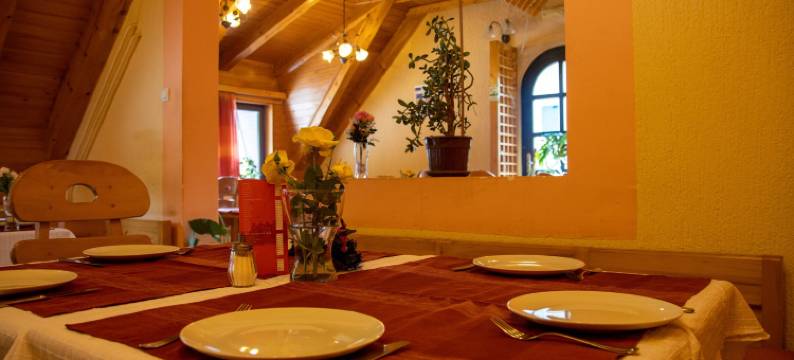 兰克维奇别墅宾馆(Guest House Villa Rankovic)图片