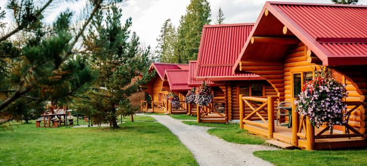 Miette Mountain Cabins图片