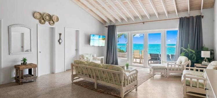 直接海滩的白棕榈别墅 - 塔湾(Beachfront White Palm Villa - Tar Bay)图片