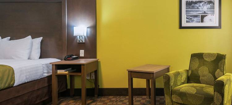 品质酒店德里德尔(Quality Inn)图片