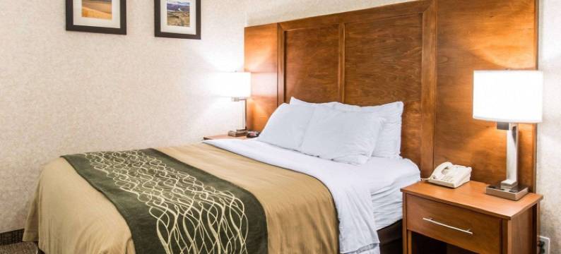 凯艺酒店(Quality Inn)图片