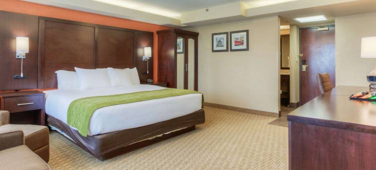 埃文斯维尔机场舒适酒店(Comfort Inn & Suites Evansville Airport)图片