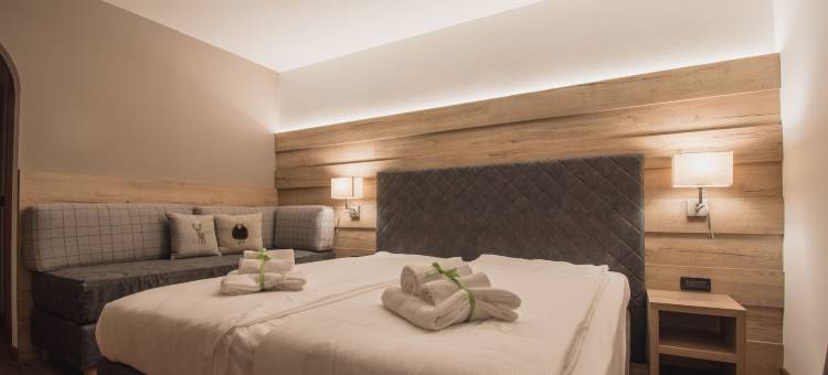 X 阿尔普酒店(X Alp Hotel)图片