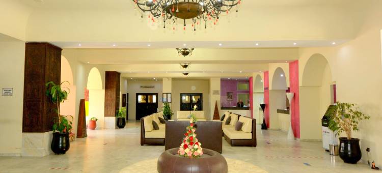 绿洲酒店&Spa(Oasis Hotel & Spa)图片