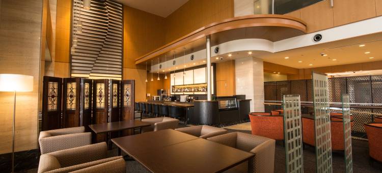 ANA Crowne Plaza 米子全日空皇冠假日酒店(ANA Crowne Plaza Yonago)图片