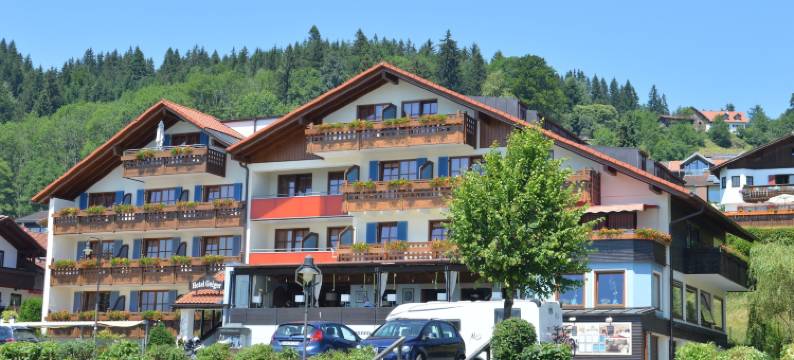 盖格酒店(Hotel Geiger)图片