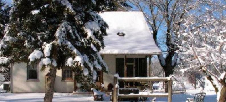 德累斯顿松树民宿(The Pines of Dresden)图片