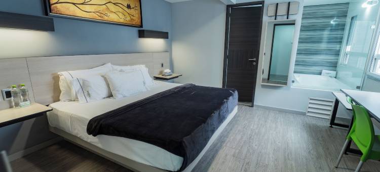 柠檬绿酒店(Hotel Lemon Green -Zona Expo Frente Al Centro de Convenciones)图片