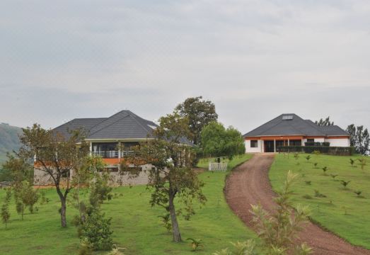 The Crested Crane Bwindi Hotel Hotel Overview