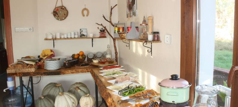 沙菲尔精品酒店(Safir Butik Otel)图片