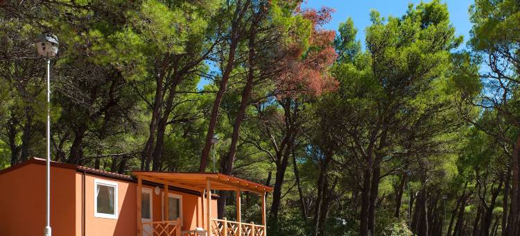 移动之家鲍什科波列营地(Mobile Homes Baško Polje Campground)图片